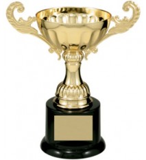 6 1/2" Completed Metal Cup Trophy on Plastic Base                        